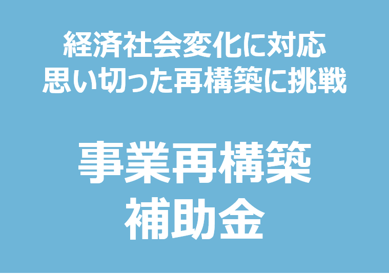 新分野展開、事業転換、業種転換、業態転換、又は事業再編という思い切った事業再構築に意欲を有する中小企業等の挑戦を支援する